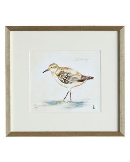 Sanderling Print