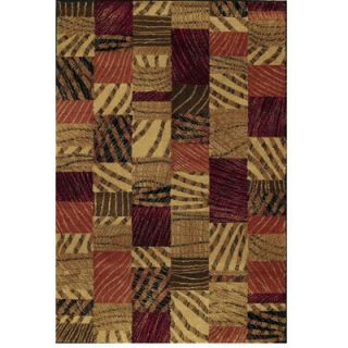 Shaw Rugs Accents Lima Multi Colored Rug