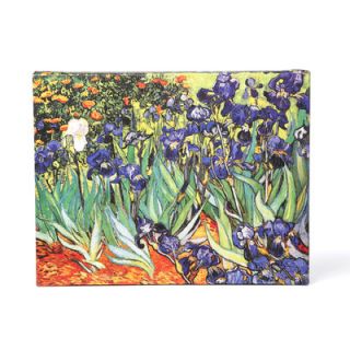 Vincent Van Gogh Irises in the Garden Canvas Art