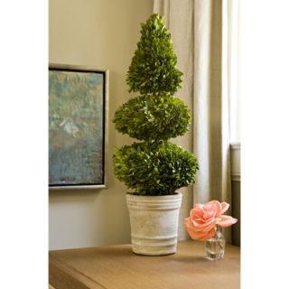 Napa Home and Garden Preserved Boxwoods Double Ball Cone Round in