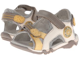 Beeko Andy Sandal Boys Shoes (Gray)