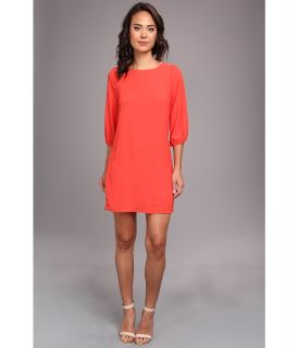 Brigitte Bailey Angie 3/4 Sleeve Shift Dress Womens Dress (Orange)