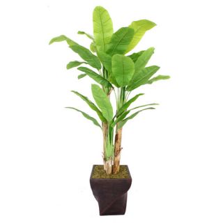 Tall Banana Tree with Real Touch Leaves in Fiberstone Planter