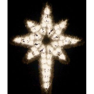 Holiday Lighting Specialists Garland Star of Bethlehem in Warm White