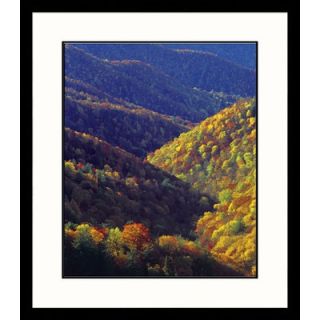 Great American Picture Deep Creek Valley Framed Photograph   Adam