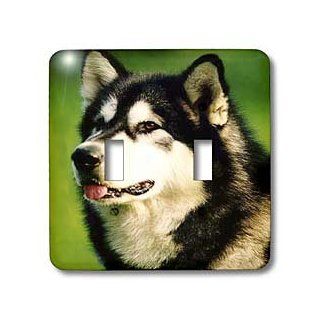 3dRose LLC lsp_722_2 Alaska Malamute Dog, Double Toggle Switch   Switch Plates  
