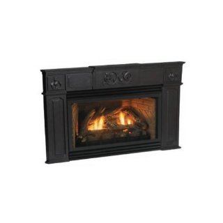 Empire Comfort Systems SC25 6 BL Innsbrook DV25 Direct Vent Fireplace Insert Tra   Gel Fuel Fireplaces