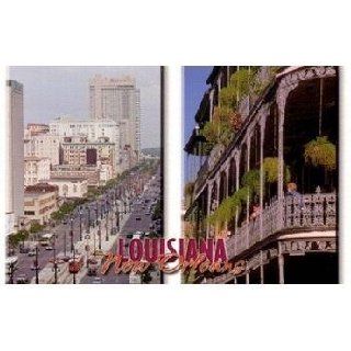 Wholesale Louisiana Postcard 13223 New Orleans(750x$0.19) Beauty