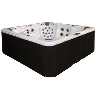 Coleman CO 756B A 6 Person Spa, Sterling Silver, Bench Without Speakers  Outdoor Spas  Patio, Lawn & Garden