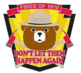 Smokey The Bear Metal Lapel Pin   "Fires of 1910" Commemorative Year Anniversary Novelty Buttons And Pins Clothing