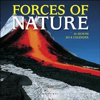 Forces of Nature 2014 Small Wall Calendar 