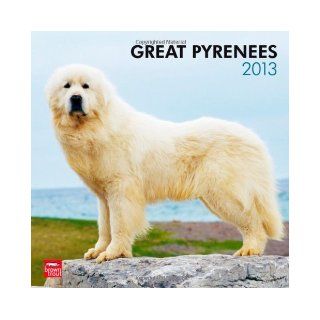 Great Pyrenees 2013 Square 12X12 Wall Calendar (Multilingual Edition) BrownTrout Publishers 9781421698182 Books