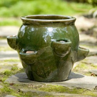 Round Fishbowl Ceramic 6 Pocket Strawberry Jar Planter   Raised Bed & Container Gardening