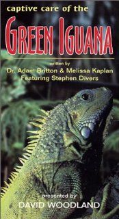 Captive Care of the Green Iguana [VHS] Stephen Divers, Melissa Kaplan Adam Britton Movies & TV