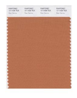 PANTONE SMART 17 1436X Color Swatch Card, Raw Sienna   House Paint  