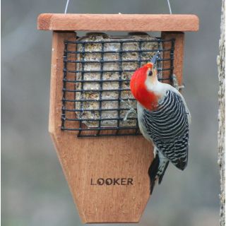 Songbird Essentials Tail Prop   Bird Feeders