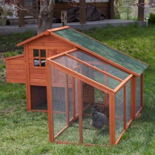 Boomer & George Deluxe Chicken Coop with Exercise Pen   Chicken Coops
