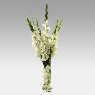 Gladiolas in Tall Glass Vase   Silk Flowers