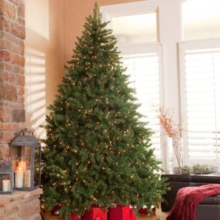 Classic Pine Full Pre lit Christmas Tree   Christmas Trees