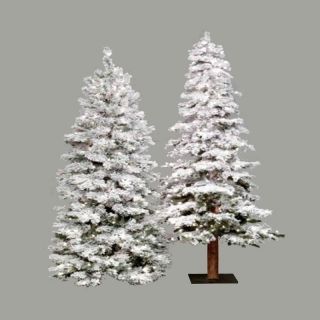 Pre lit Clear Light 7 ft. Flocked Spruce Alpine Tree   Christmas Trees