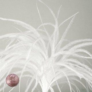 White Thin Ostrich Feathers, 4" to 6" (100/Pack)