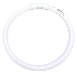 Sylvania 20702   FPC22/830 Circular T5 Fluorescent Tube Light Bulb    