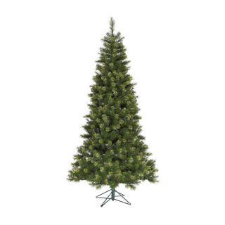 Slim Jack Pine Christmas Tree   Christmas Trees