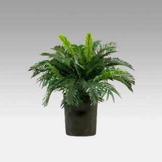 Cycas and Parlor Palm in Tall Resin Planter   Silk Plants