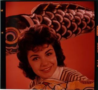 Annette Funicello Striking Rich Color 2 1/4 Inch Square Transparency Studio Shot Entertainment Collectibles