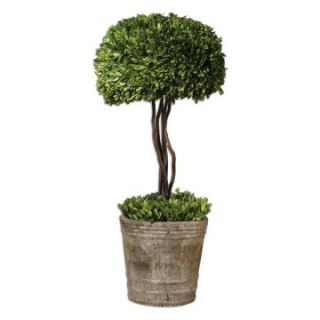 Uttermost 60095 Preserved Boxwood Tree Topiary   Topiaries