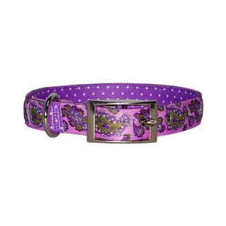 Yellow Dog Design Uptown Collar, Large, Purple Paisley on Purple Polka  Pet Collars 