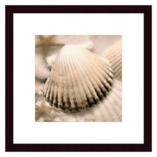 Iridescent Seashell II by Donna Geissler Framed Wall Art   Photography