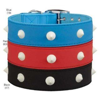 Zack & Zoey US2114 10 19 Glow Stud Collar for Dogs, 10 to 12 Inch, Blue  Pet Fashion Collars 