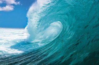 Posters The Ocean Poster   The Perfect Wave (36 x 24 inches)   Prints