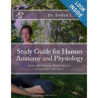 Study Guide for Human Anatomy and Physiology Endocrine System, Blood Vessels, Blood Flow and Heart Dr Evelyn J Biluk 9781478163398 Books