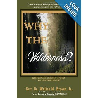 Why the Wilderness? God Sends Angels After We Go Through Rev Dr Walter Brown Jr 9780595366002 Books