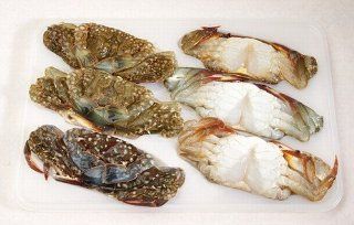 Frozen Sashimi Grade Large Soft Shell Crabs   Twelve Pieces ~1.5 lbs  Crab Seafood  Grocery & Gourmet Food