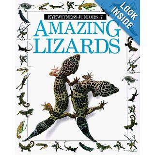 Amazing Lizards (Eyewitness Junior) Trevor Smith 9780679808190 Books