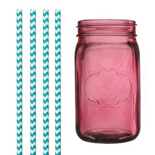 Dress My Cupcake DMC35098 Pink Vintage Jardin Mason Jar with Aqua Chevron Straws, 32 Ounce Kitchen & Dining