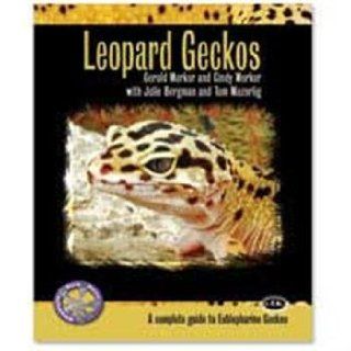 Tfh Nylabone STFCH803 Herp Care Leopard Geckos  Pet Training And Behavioral Aids 