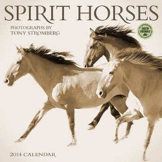 (12x12) Spirit Horses   2014 Calendar   Wall Calendars