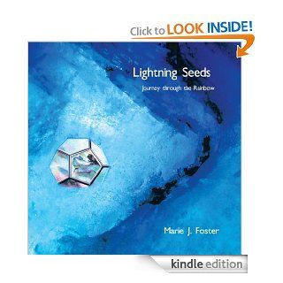 Lightning Seeds Journey through the Rainbow eBook Marie J. Foster Kindle Store