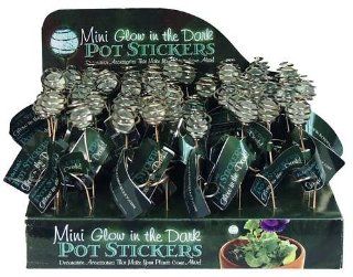 Echo Valley 4216MD 48 Piece Mini Pot Sticker Display Assortment, 0.75 by 0.75 by 4.75 Inch  Home Decor Products  Patio, Lawn & Garden