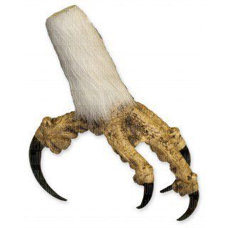 Bald Eagle Foot with feathers   closed (Teaching Quality Replica)