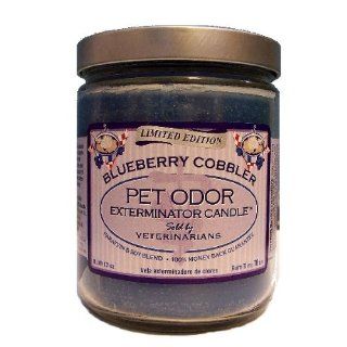 Pet Odor Exterminator Jar Candle   Blueberry Cobbler  