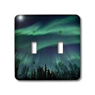 3dRose lsp_61680_2 Northern Lights In Shade Of Green Amongst A Dark Blue Night Sky Double Toggle Switch   Switch Plates  