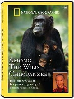Among the Wild Chimpanzees Jane Goodall Movies & TV