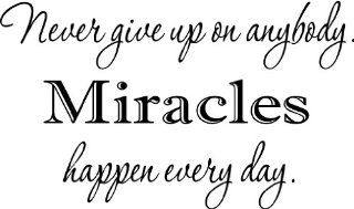 Never give up on anybody. Miracles happen every day wall quotes art sayings vinyl decals   Wall Banners