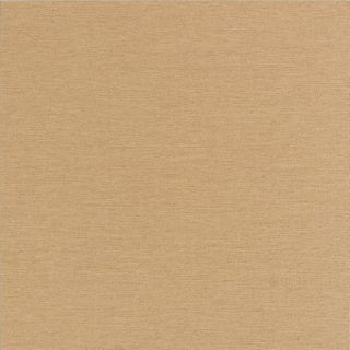 American Olean 8 Pack St. Germain Or Thru Body Porcelain Floor Tile (Common 12 in x 24 in; Actual 11.62 in x 23.43 in)