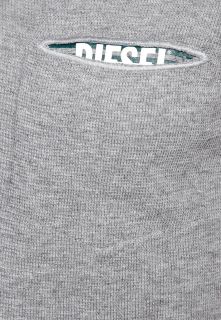 Diesel EGERIA   Long sleeved top   grey